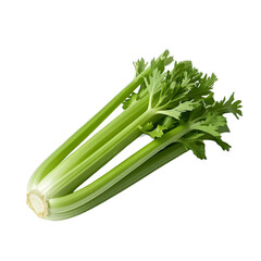 Wall Mural - Celery 