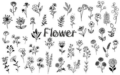 Poster - flower doodle hand drawn element design