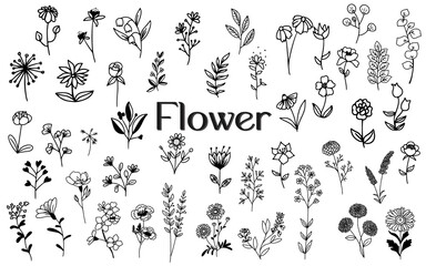 Poster - flower doodle hand drawn element design