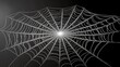 © DZIKRA  - A detailed spider web illuminated from the center, showcasing intricate patterns.