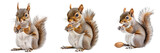 A Set of Mischievous Squirrels Featuring Curious Poses While Holding Nuts Isolated on transparent Background