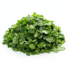 Wall Mural - cilantro, isolated on white background.hd