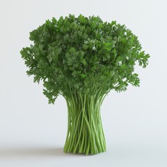 Wall Mural - parsley, isolated on white background. hd.