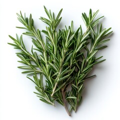 Wall Mural - rosemary, hd, isolated on white background.