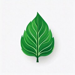 Wall Mural - Simple green leaf icon logo on white background, vintage style illustration