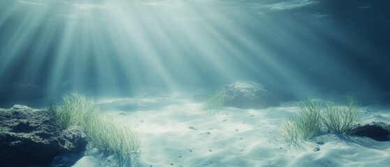 Natural sunlight underwater through water surface with seagrass and rock on the seabed