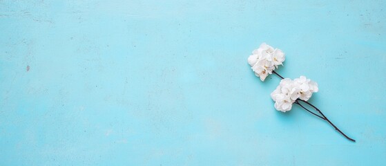 Poster - White Blossoms on Pastel Blue Minimalist Spring Aesthetic