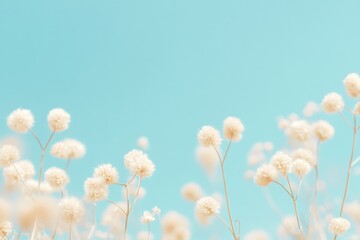 Poster - Delicate White Wildflowers Against Clear Blue Sky in Minimalist Nature Scene