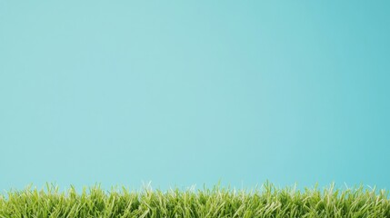 Wall Mural - Fresh Spring Grass Against a Clear Blue Sky Natures Simplicity in Minimalist