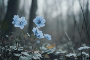 Wall Mural - Blue Flowers in Forest