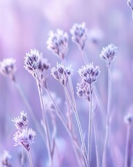 Aufkleber - Delicate purple wildflowers in soft, pastel light.