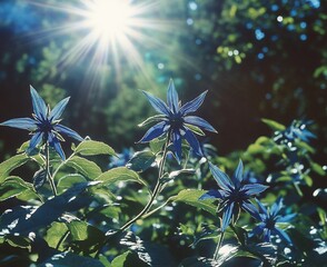 Aufkleber - Vibrant blue flowers bask in sunlight, green leaves, garden, nature.
