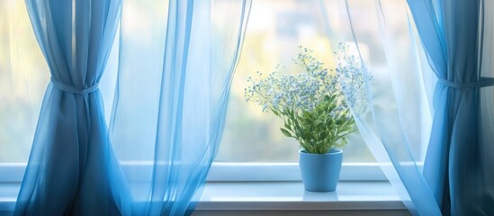 Poster - Blue sheer curtains softly billow in natural light highlighting a cozy indoor decor with a potted plant on the windowsill.