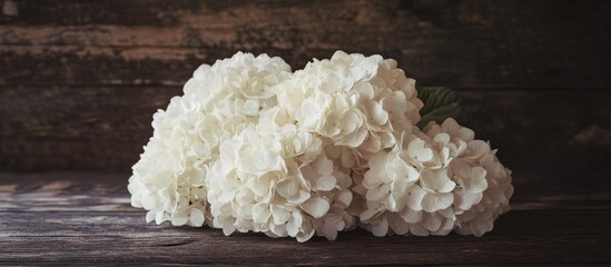 Poster - Elegant white hydrangeas bouquet displayed on dark wooden table with retro filter artistic photography for decorative use and floral arrangements