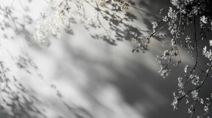 Poster - Abstract shadow play of delicate flowers and grass on a soft gray wall creating a serene neutral nature background with text space