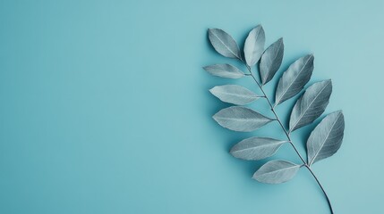 Poster - Gray foliage on tranquil blue background showcasing natural beauty and simplicity in modern botanical design concept.