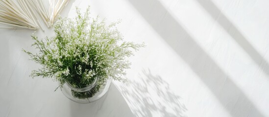 Wall Mural - Green plant in glass jar on minimalist table with white bamboo grass creating a serene boho style home decor ambiance