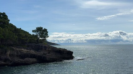 Poster - Shiny Adriatic sea waves and rocky coast overgrown maritime pines.