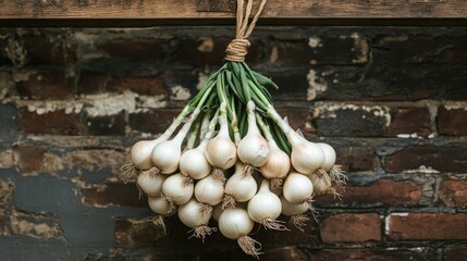 Poster - Freshly harvested onions bundled and hanging against a rustic brick wall, showcasing organic produce with a charming farmhouse aesthetic