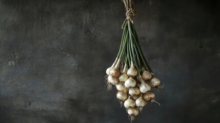 Poster - Hanging bundle of fresh onions tied with twine against a dark textured background showcasing organic vegetables and rustic decor