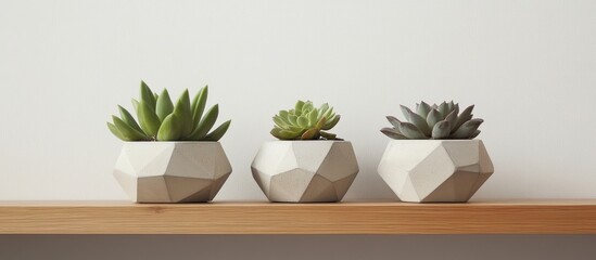 Aufkleber - Minimalist decor showcasing green succulent plants in geometric concrete pots on a wooden shelf with a clean white background