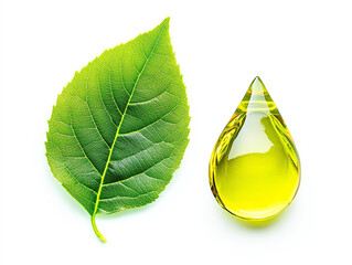 A vibrant green leaf next to a droplet of yellow oil, symbolizing nature and natural products.