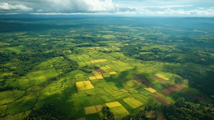Poster - Aerial View Of Rolling Hills And Patchwork Farmlands