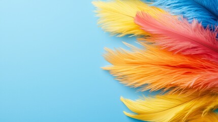 Wall Mural - colorful feathers on a blue background