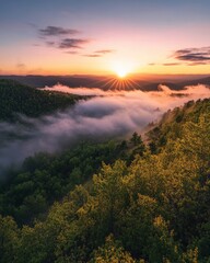 Wall Mural - A misty sunrise over the tea garden, with sun rays piercing through the fog and illuminating vibrant green leaves on the mountainside, creating an ethereal atmosphere. The sky is painted in hues