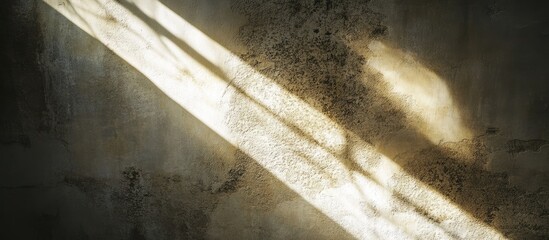 Poster - Artistic beam of light creating intricate shadows on a textured wall showcasing the interplay of illumination and surface detail.