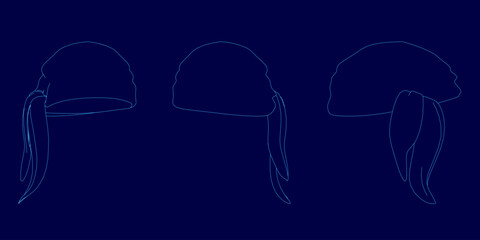 Poster - Three different hats are shown in a blue background. The hats are all different styles and colors, but they all have a similar design. The hats are arranged in a row, with the first hat on the left