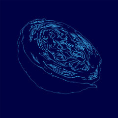 Poster - Blue drawing of a cabbage. The drawing is abstract and has a surreal feel to it