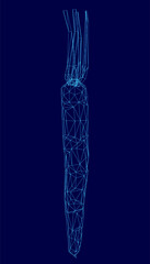 Poster - Blue image of a carrot with a blue stem. The carrot is shown in a stylized way. The image has a dreamy, surreal quality to it