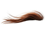 Auburn Hair, Isolated on White Background