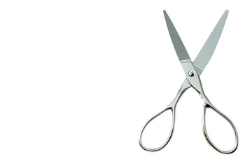 Poster - A pair of stainless steel scissors with a shiny finish, used for cutting.