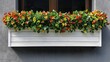 © PB Studio - of bougainvillea in a window box, highlighting the cheerful and vibrant display for indoor decor. | Bougainvillea