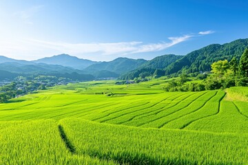 the grassy hills of the lush green landscape with clear blue sky and mountains in background, green 