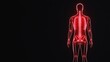 © Apaporn - Illustration of a human body with highlighted nervous system in red against a black background, showcasing anatomy and medical education concepts.