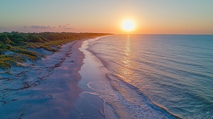 Poster - Coastal sunrise over sandy beach, dunes, calm ocean