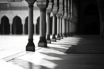 Wall Mural - Ornate columns, shadowed floor, light and dark contrast.