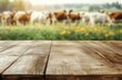 © LifeMedia - Wooden table in front of a vibrant green pasture filled with grazing cows during a sunny afternoon