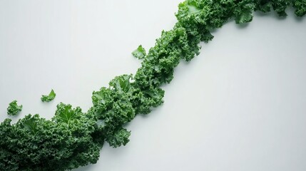 Wall Mural - A wave of fresh kale arranged on a light background.