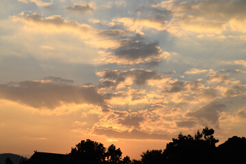 Wall Mural - Beautiful vanilla sky and clouds with sunlight before sunset above the tree, Nature background