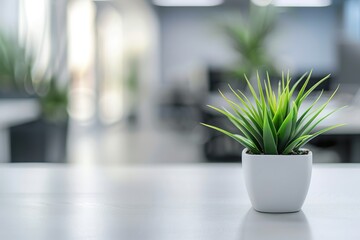 Poster - Small plant in a white pot on a desk in an office.