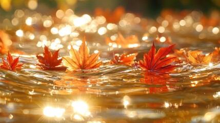 Poster - Red maple leaves float on calm water, sunlight reflecting, autumn scene.