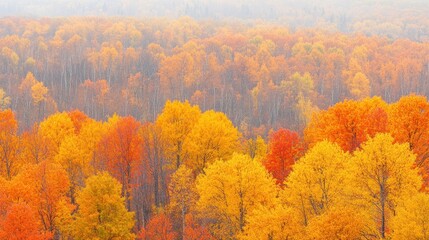 Aufkleber - Misty autumn forest with vibrant yellow, orange, and red foliage.