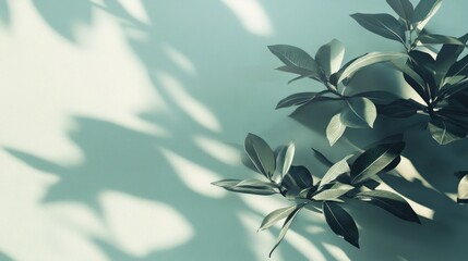 Aufkleber - Lush green foliage casts shadows on a light teal background.