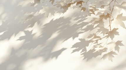 Poster - Soft light casts delicate leaf shadows on a light background.