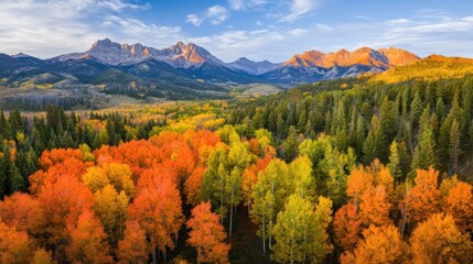 Aufkleber - Aerial view of vibrant autumn foliage in a mountain valley at sunset.