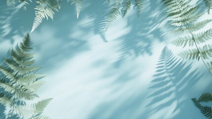 Poster - Soft light casts shadows of ferns on a teal background, creating a serene, minimalist frame.